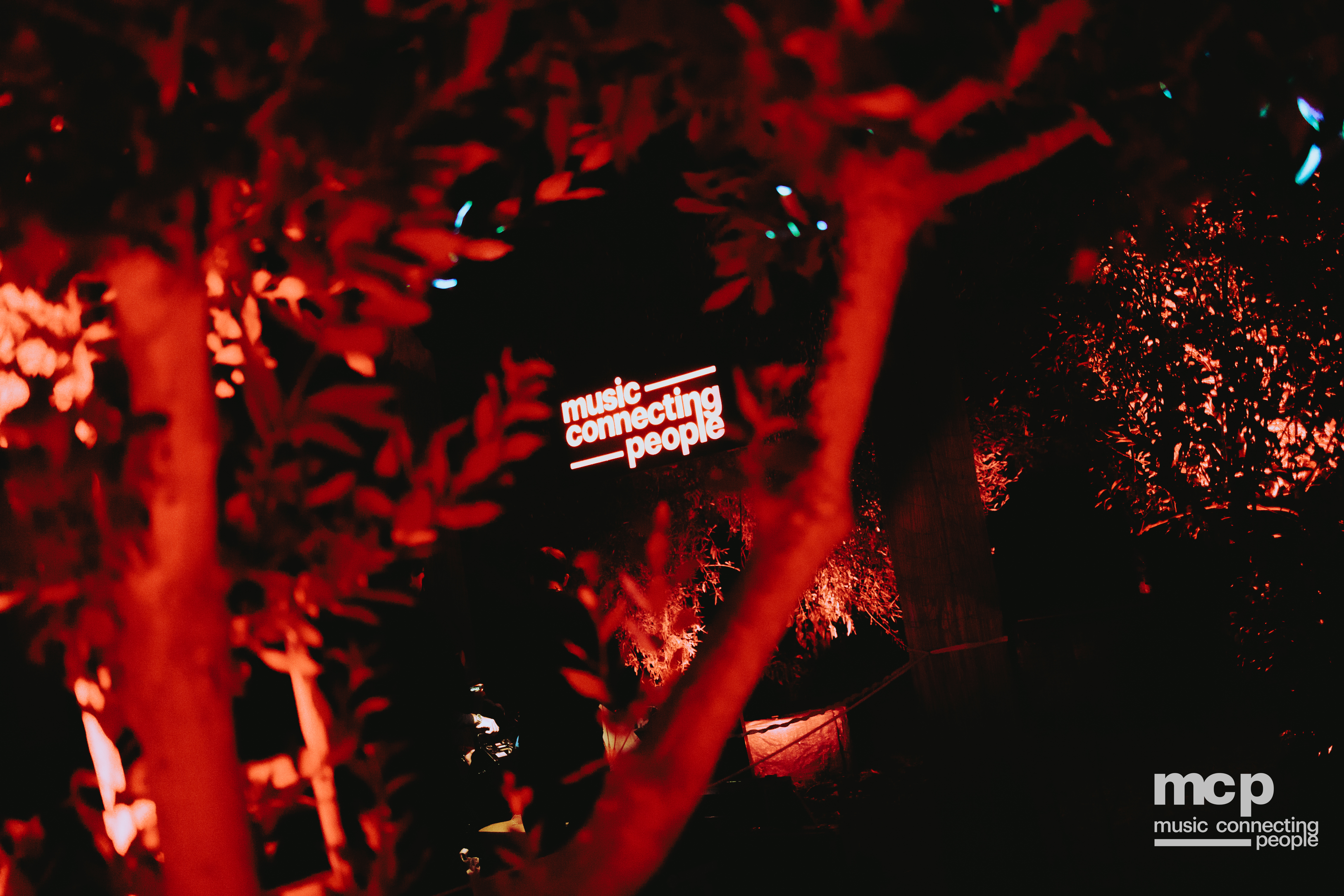 :EP 13. LOST INTO THE WILD & — SUMMER GOODBYES - Photo 43