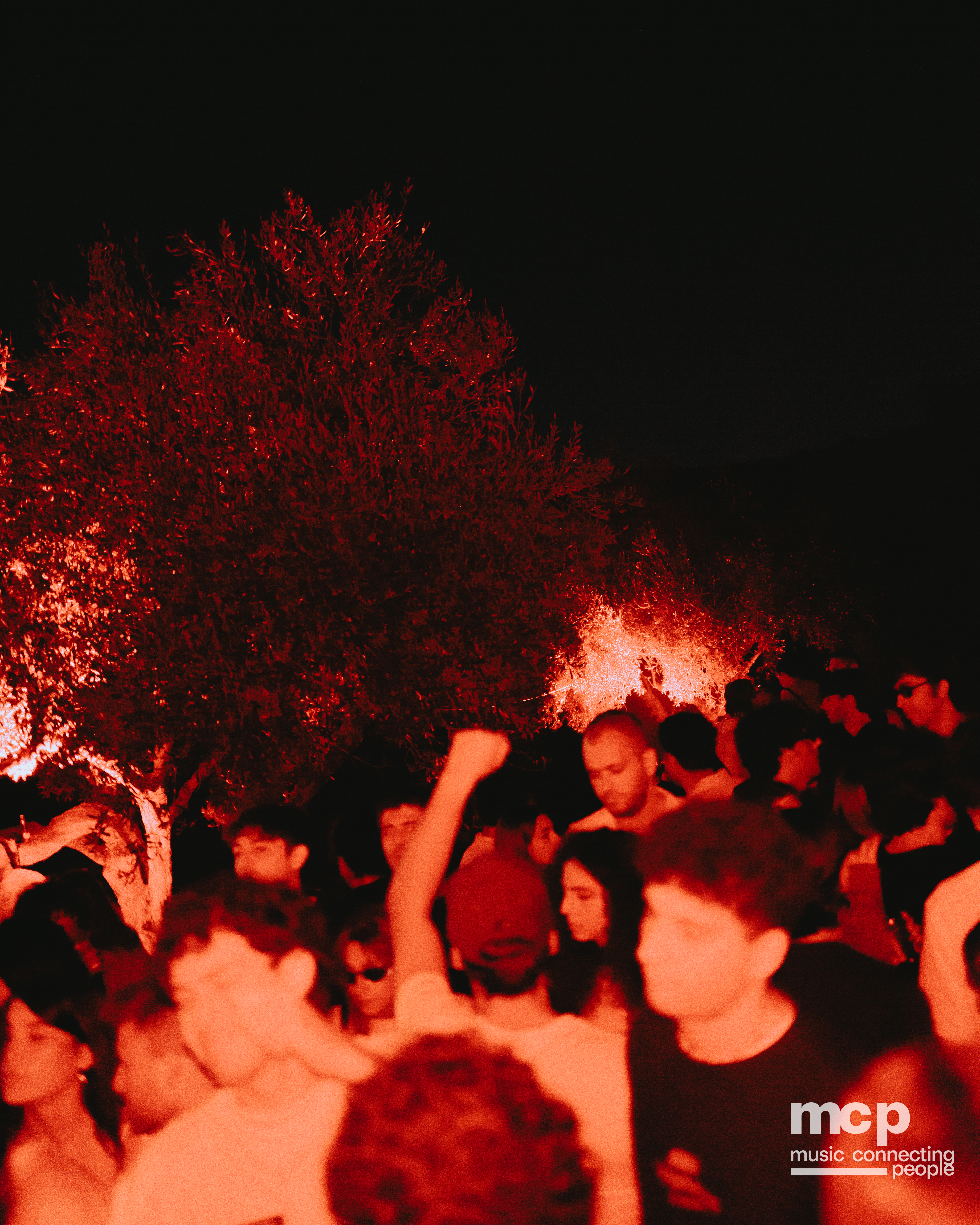 :EP 13. LOST INTO THE WILD & — SUMMER GOODBYES - Photo 51