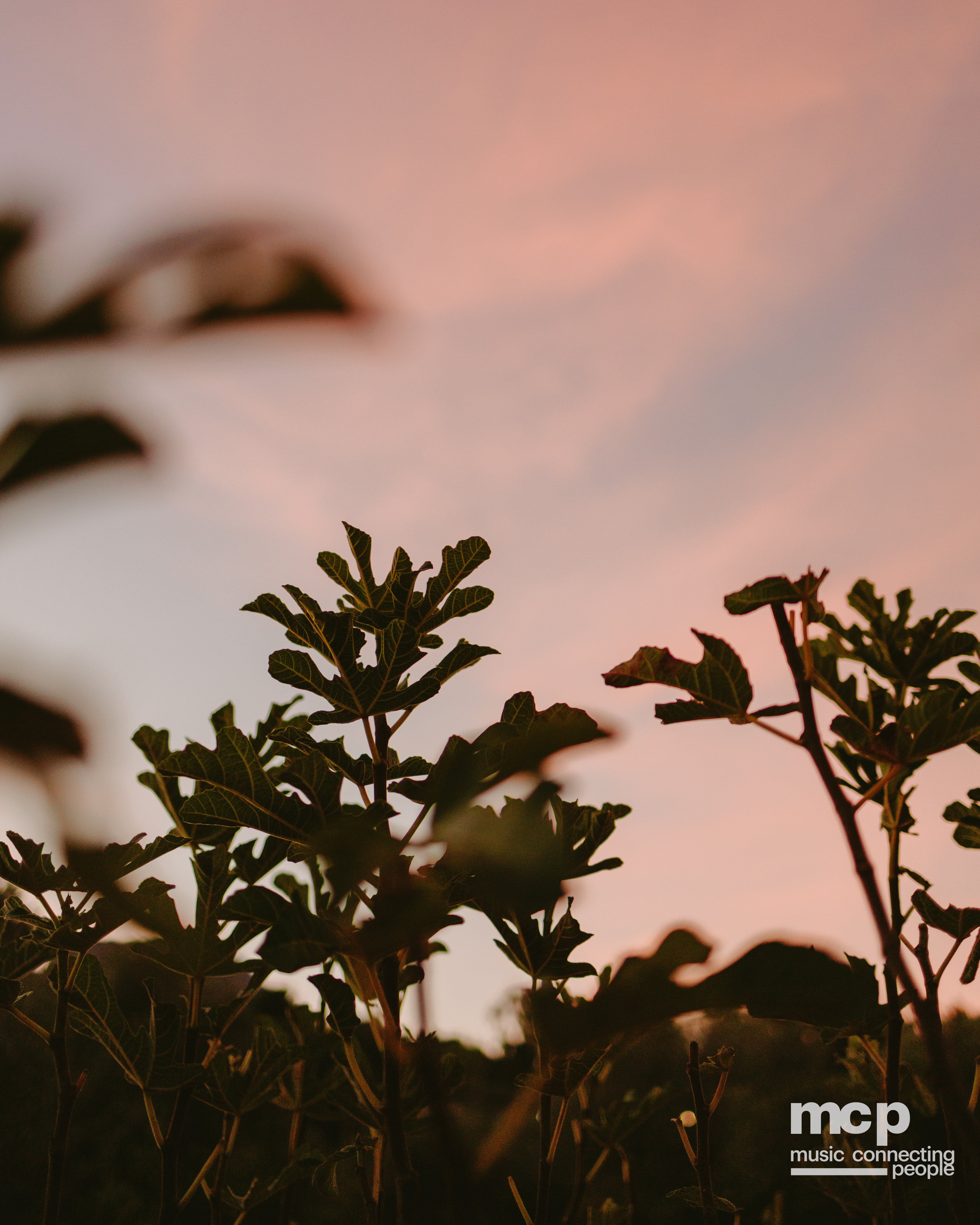 :EP 13. LOST INTO THE WILD & — SUMMER GOODBYES - Photo 114