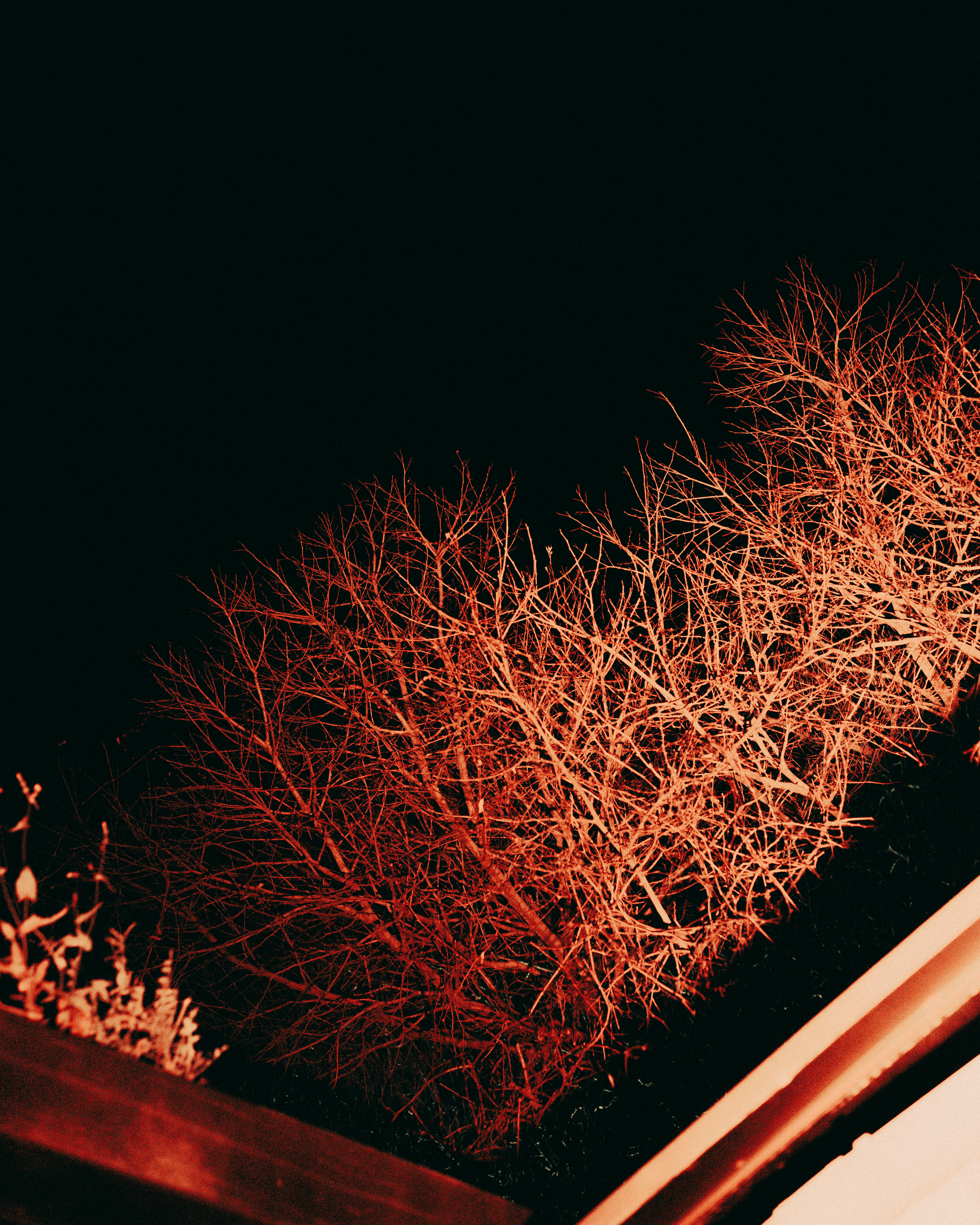 MCP X CLUT - Photo 9