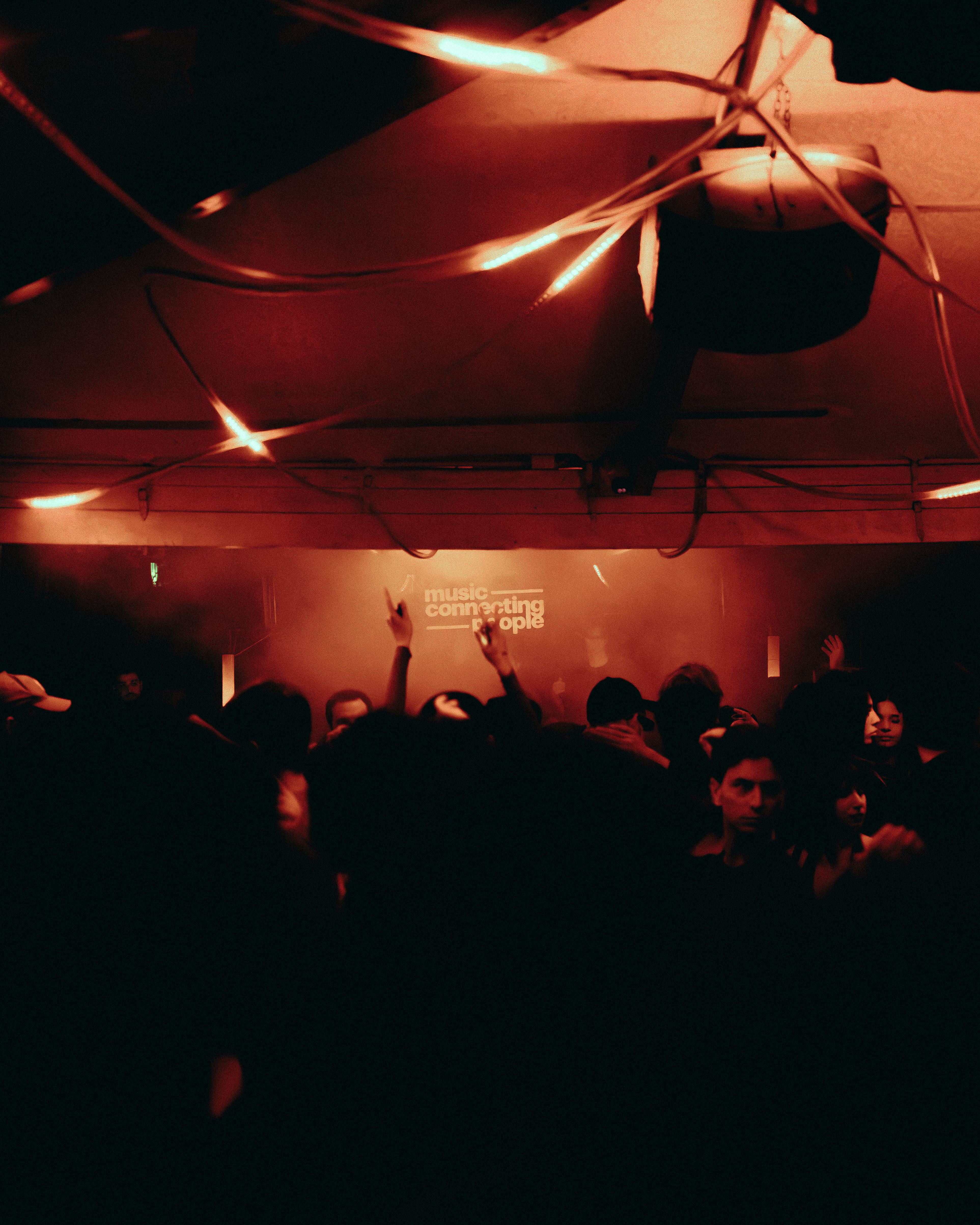 MCP X CLUT - Photo 64