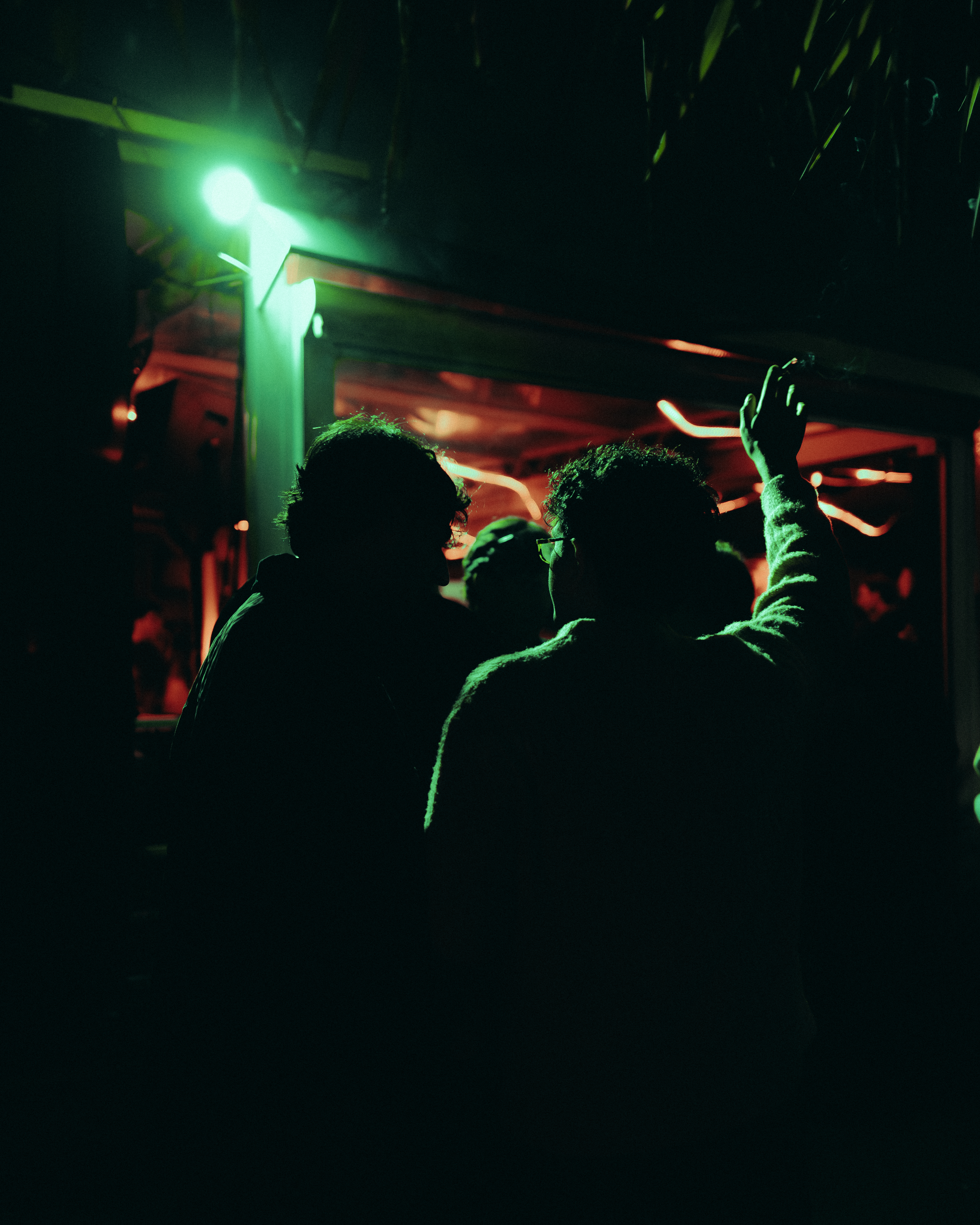 MCP X CLUT - Photo 68