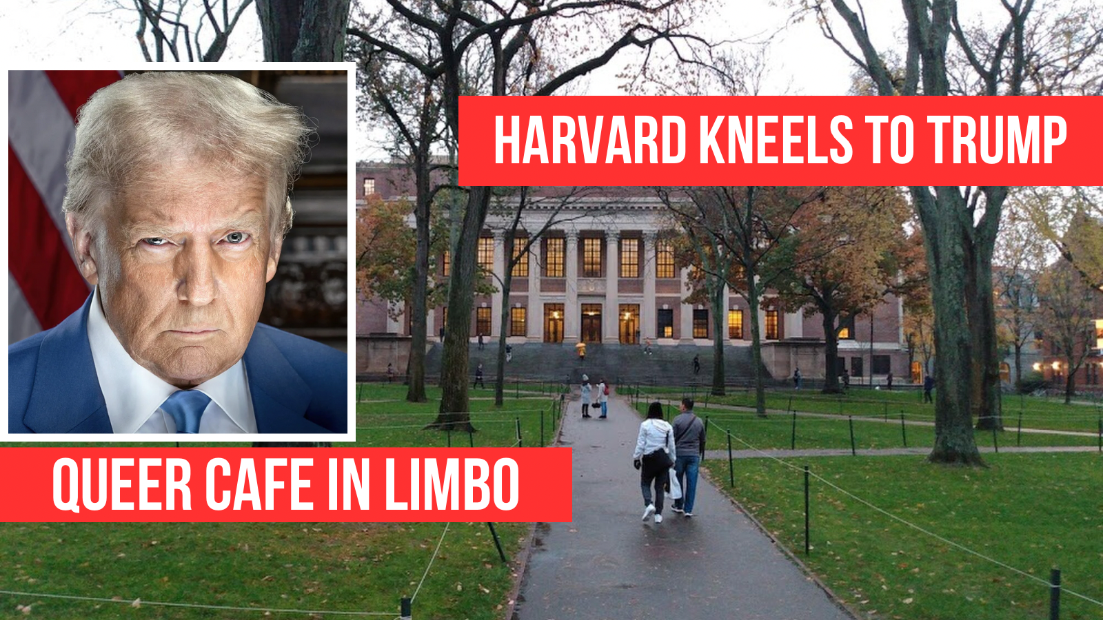 Harvard Caves to Trump as ‘Woke’ Tutors Scrapped and Queer Café Left in Limbo