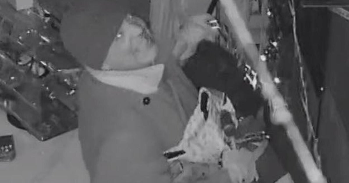 Brazen thief walks out of Worcester consignment shop with $15,000 worth of designer purses — police release surveillance footage