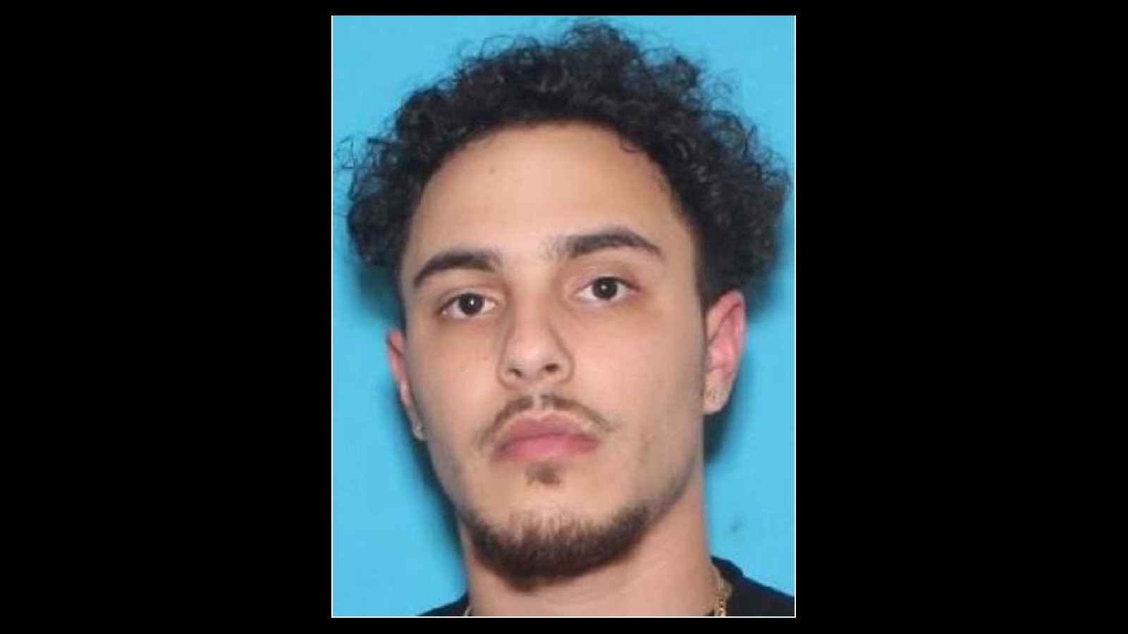 Demitri Sousa mugshot