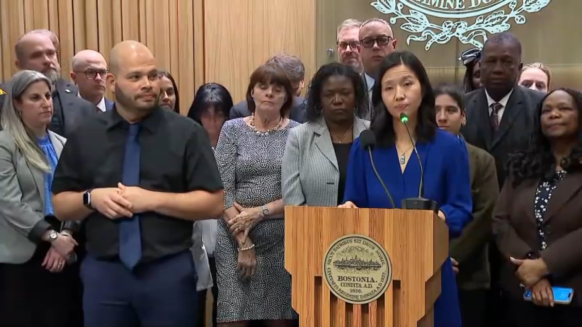 REVEALED: Boston lets 11-year-olds and non-citizens vote on how to spend $2.2M in taxpayer cash — and nearly a THIRD went to shielding illegals from deportation