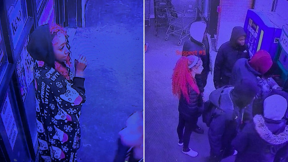 Boston police hunt two juveniles with matching red hair dye who attacked a pregnant woman on Dudley Street in broad daylight