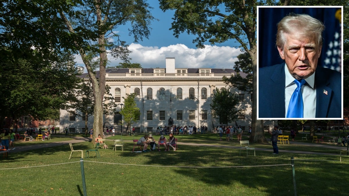 Harvard's woke anti-Trump 'teach-in' draws a crowd of just 50 as professors call on university to defy 'racist' administration