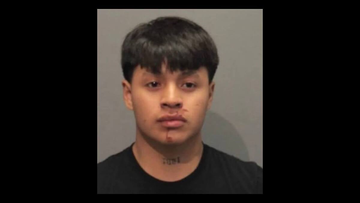 Luis Guaman Tenezaca, 19, of Milford, MA charged with OUI after Hyundai Elantra slams into utility pole — passenger flees, tracked by K9 to Prospect Street house