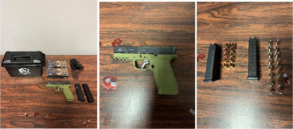 Firearms and ammunition allegedly sold by AVILES.