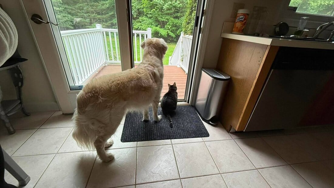 Lola and Coco at the door together
