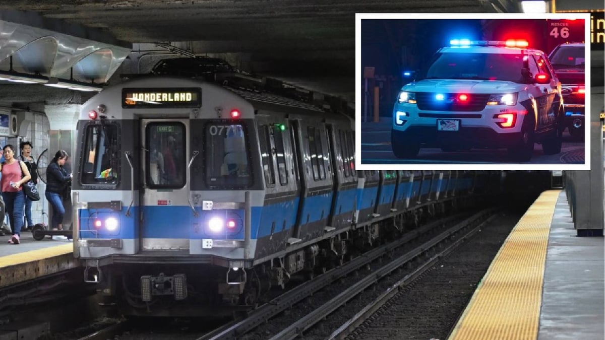 Teens run wild at Maverick, gunman flees Orient Heights fight: separate Eastie crime scenes mark summer's start on the Blue line