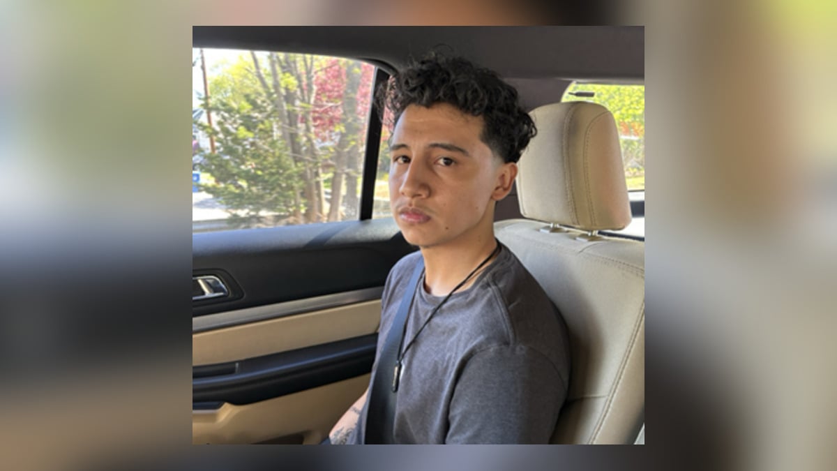 Guatemalan illegal immigrant accused of child sex offenses scooped up by ICE in Waltham