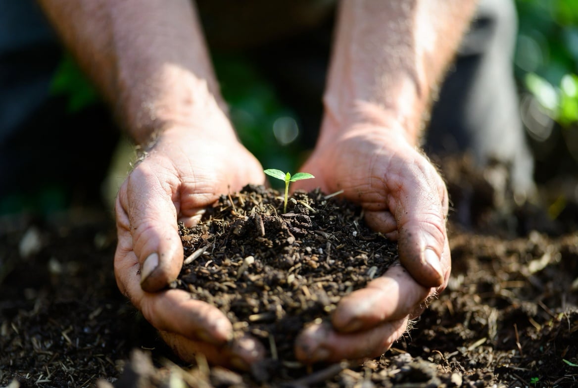 Massachusetts weighs letting the dead be composted into soil — tucked inside the economic development bill