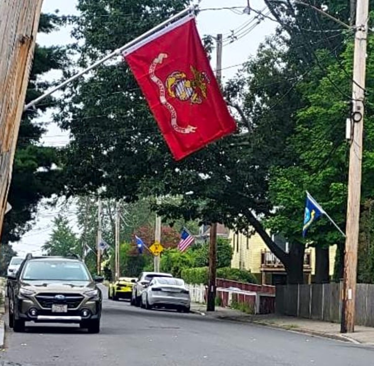  row of military branch flags, including the U.S. Marine Corps flag in the foreground, hung by Hyde Park neighbors as a tribute to veterans before the city ordered their removal.