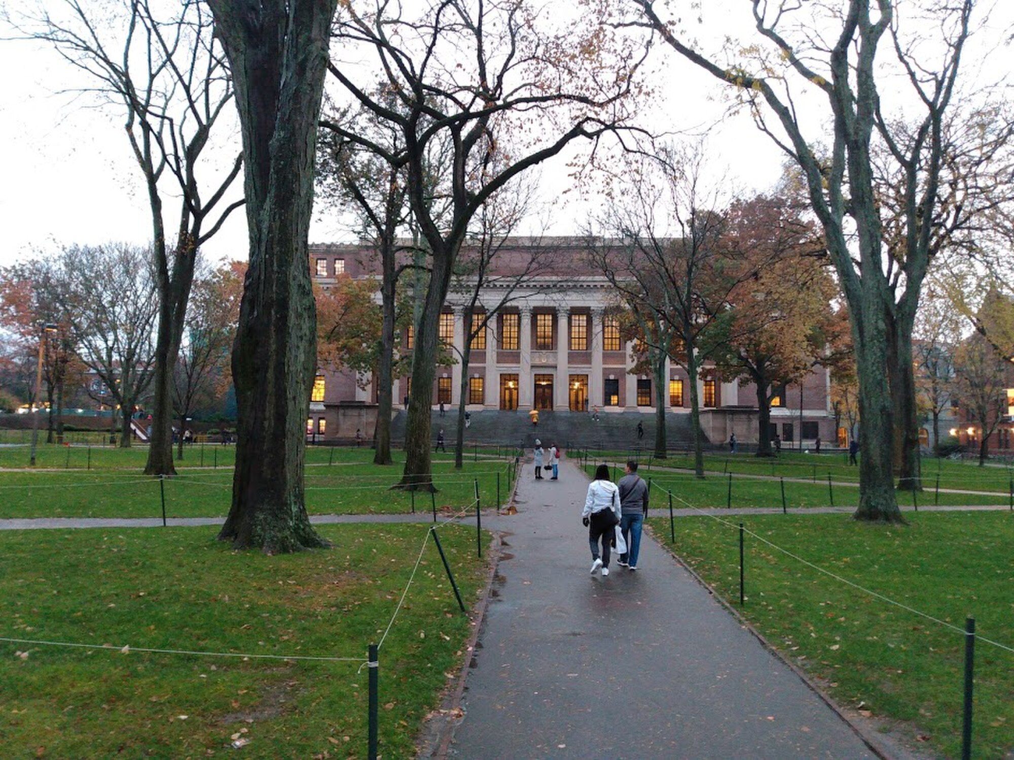Harvard has quietly erased its identity tutors, scrubbing decades of DEI language from the dorms after Trump threatened billions in research funding.