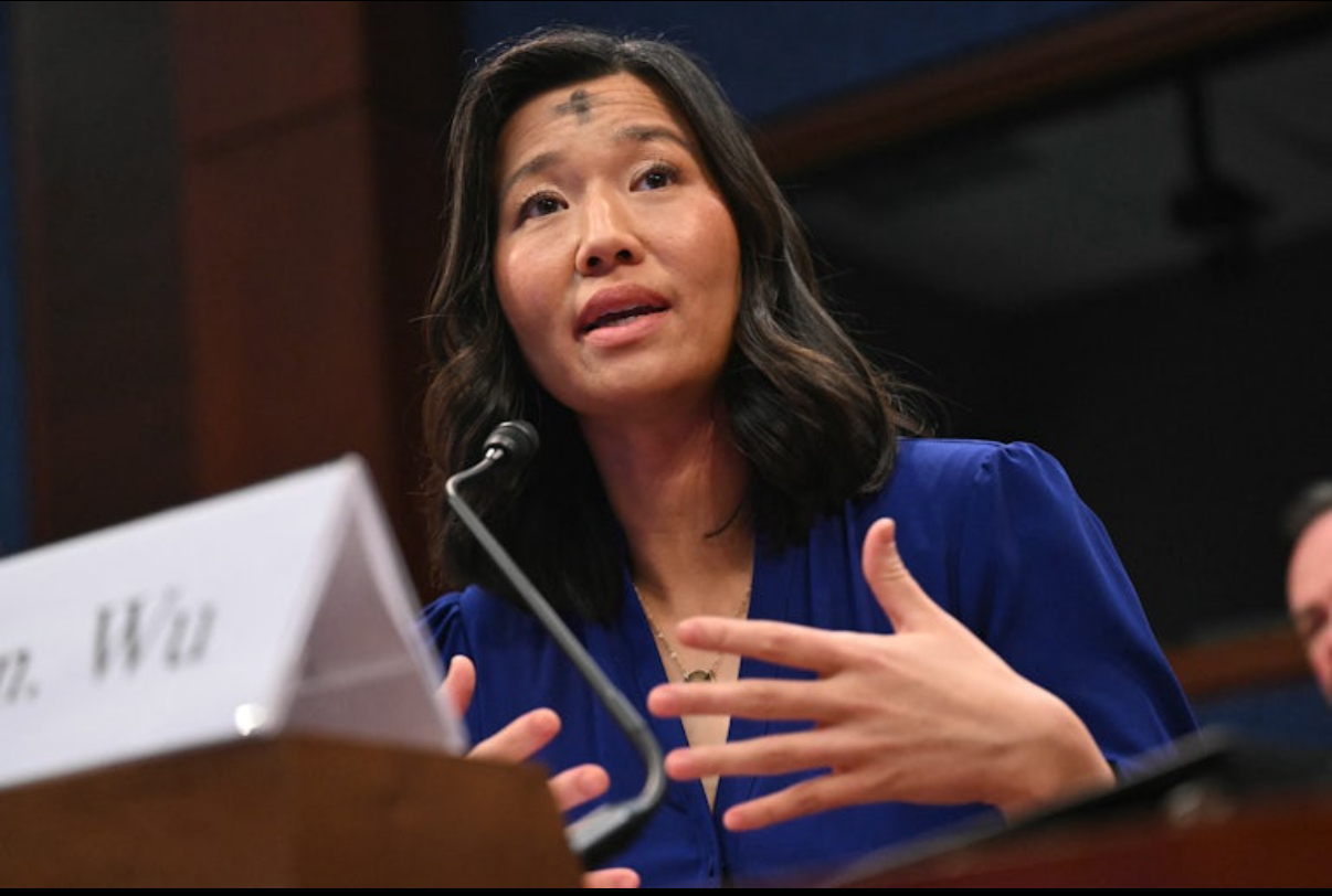 Mayor Michelle Wu is facing a lawsuit from a former aide who says she was fired to protect a top official, even as other City Hall staffers arrested on serious charges were allowed to stay on the payroll.
