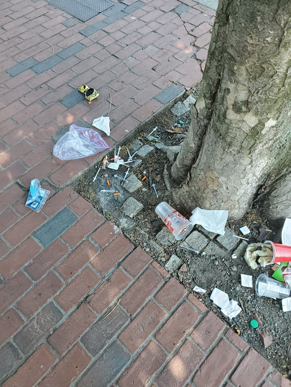 Just steps from Commonwealth Avenue, a pile of used syringes and trash surrounds the base of a city tree — what neighbors call “the needle tree.” Residents say it’s become a dumping spot for drug waste tied to the encampment under the nearby bridge.