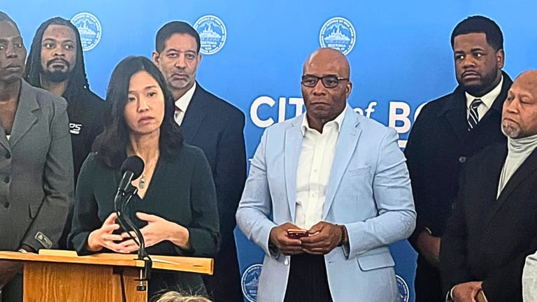 Boston activists beg Wu to fund REPARATIONS TASK FORCE in next year's budget — the ones she wants delivered in time for America's 250th birthday
