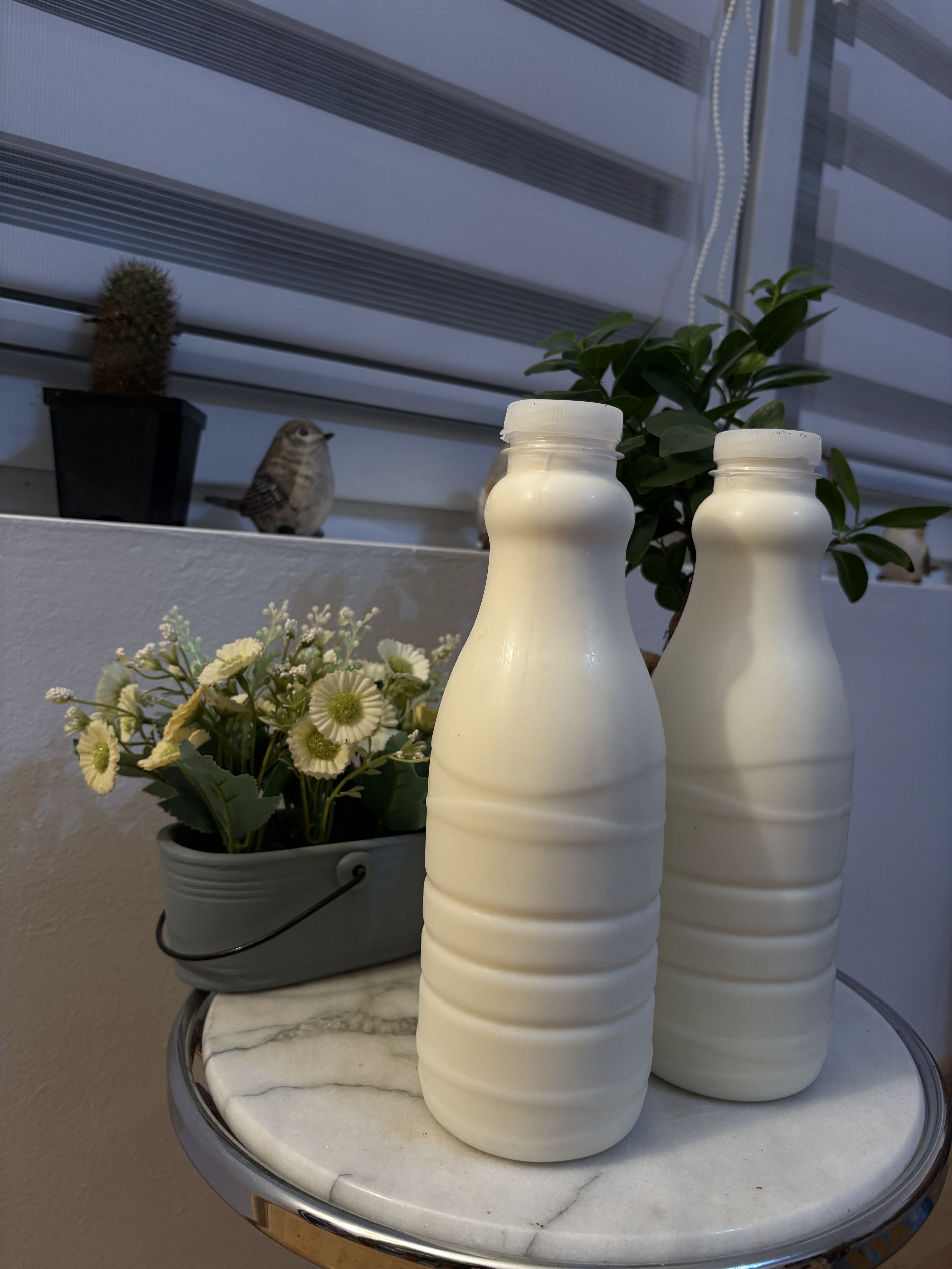 Kravlje Mleko detalj 2