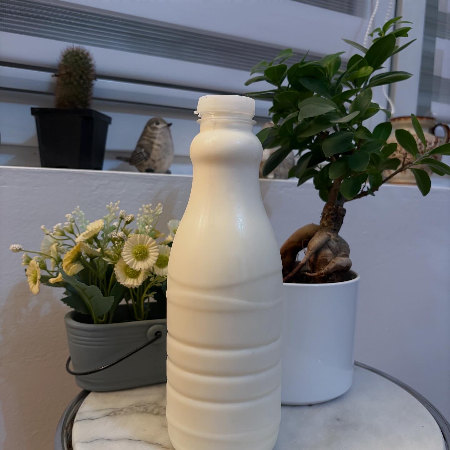 Kravlje Mleko detalj 3