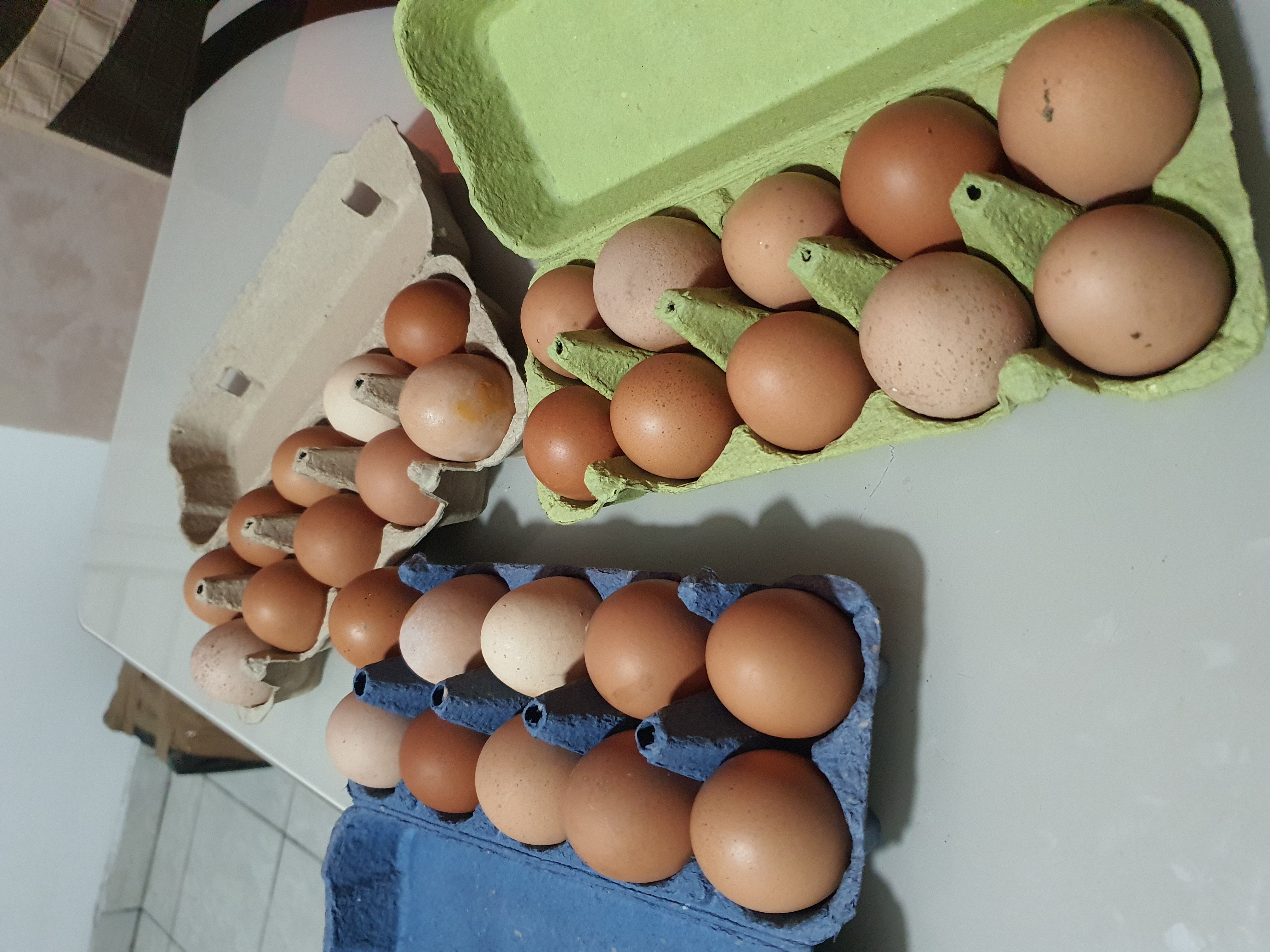 Jaja - Slobodan Uzgoj detalj 2