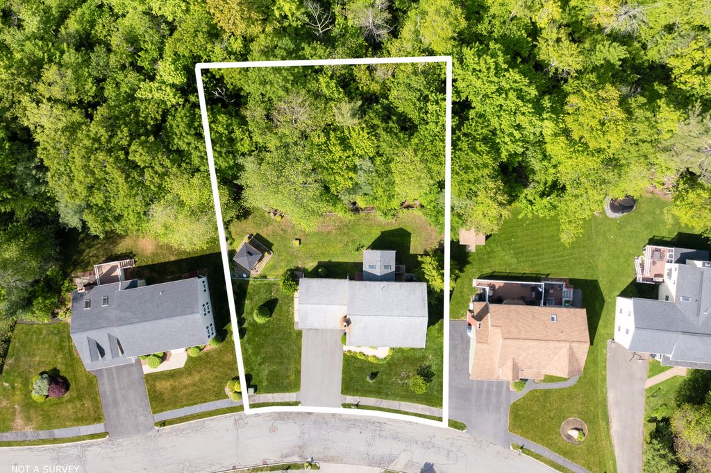 11 Beechtree-07