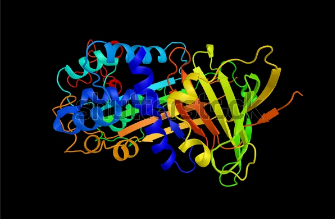 Imagen de portada para Interluquina