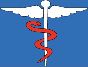 Medicare Connect Logo