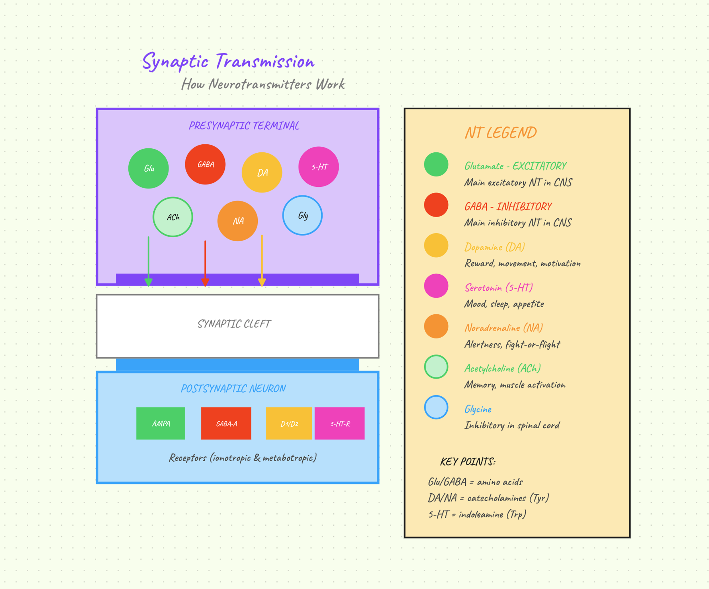 Medly Open document showcase