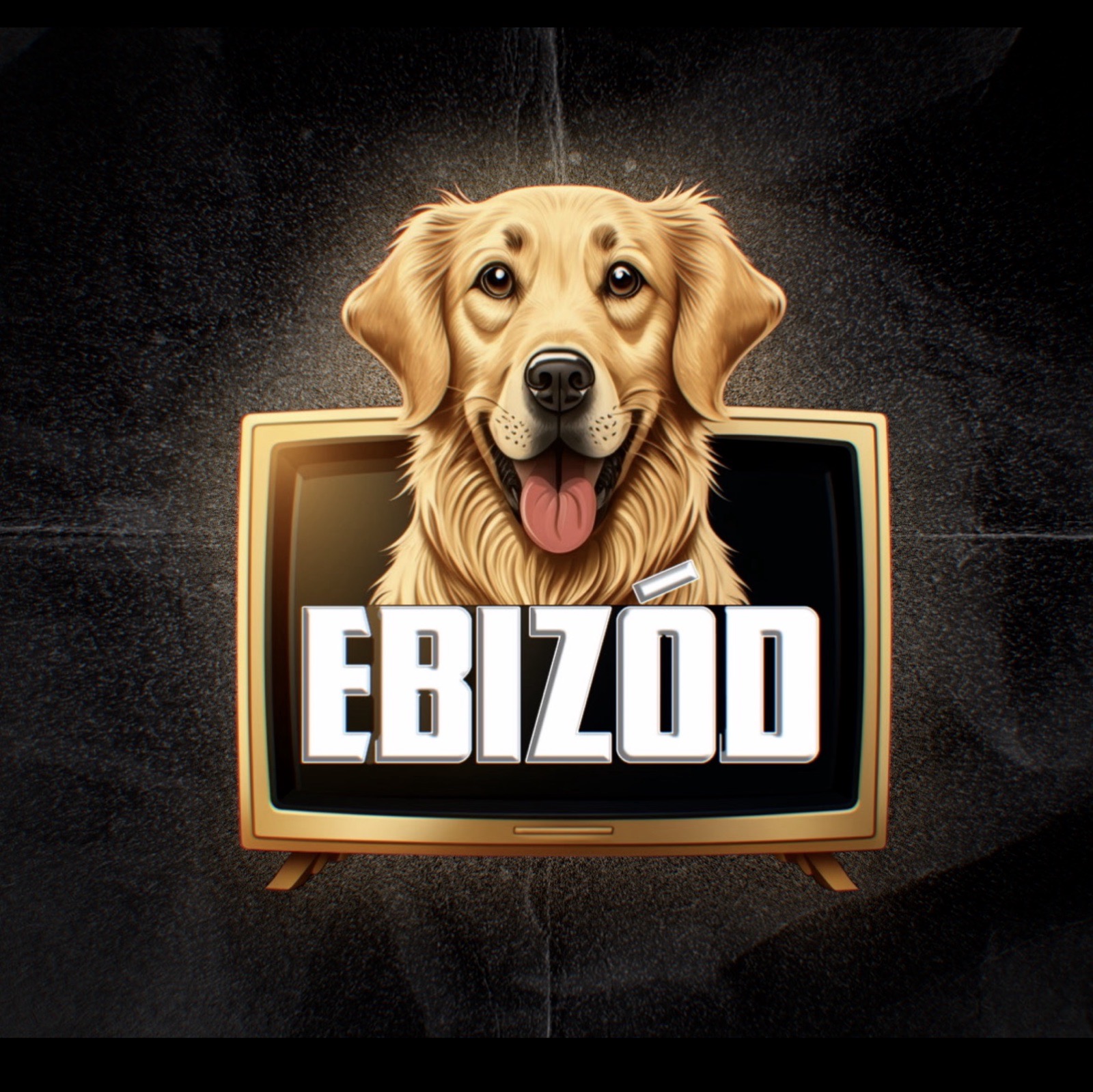 EBizód — 4. fotó
