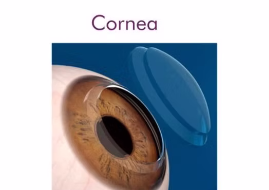 services/cornea_services