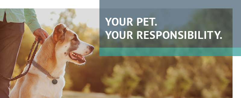 Be a responsible owner!