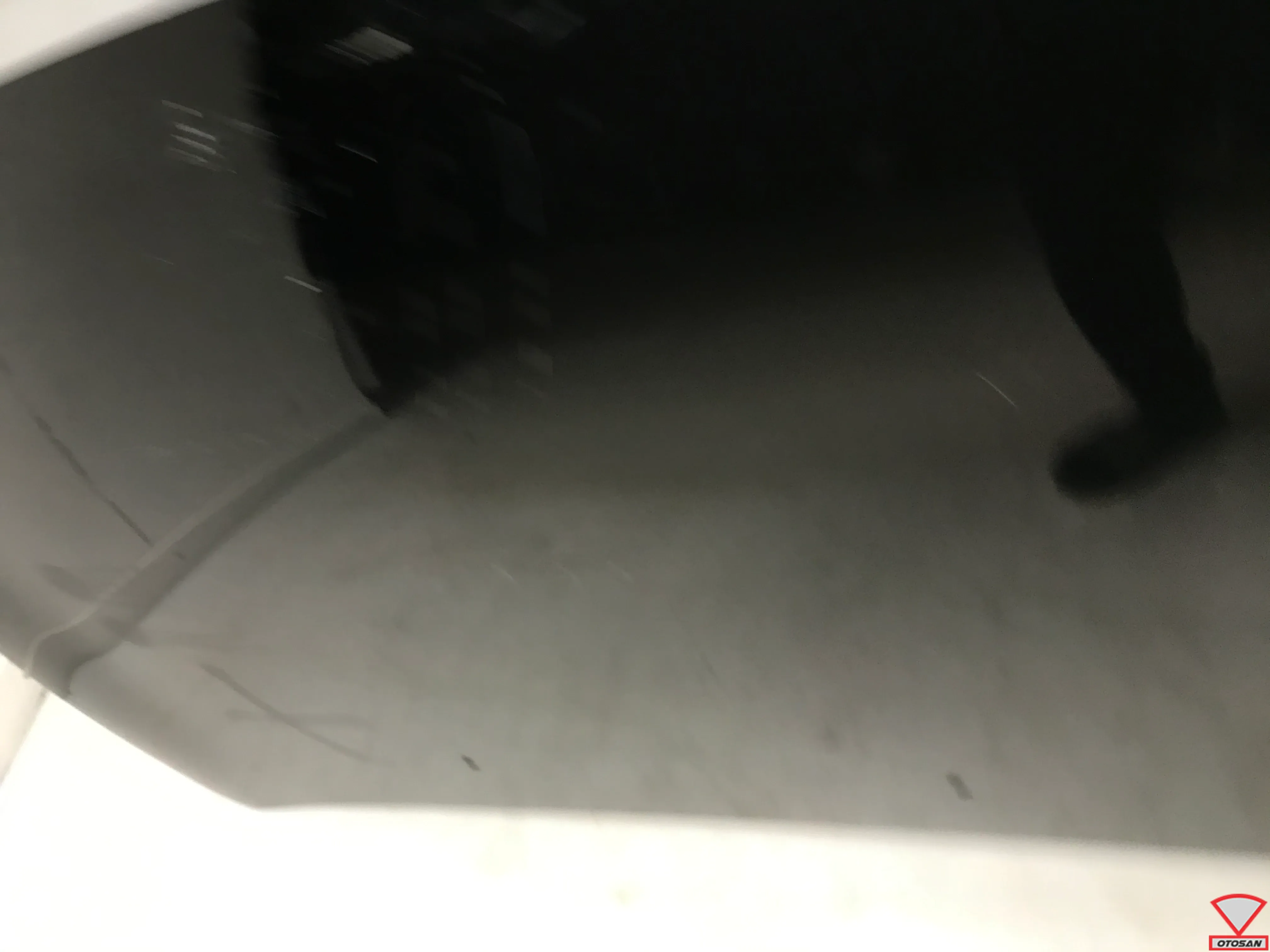 IMG_6715.J_1668764300845.webp