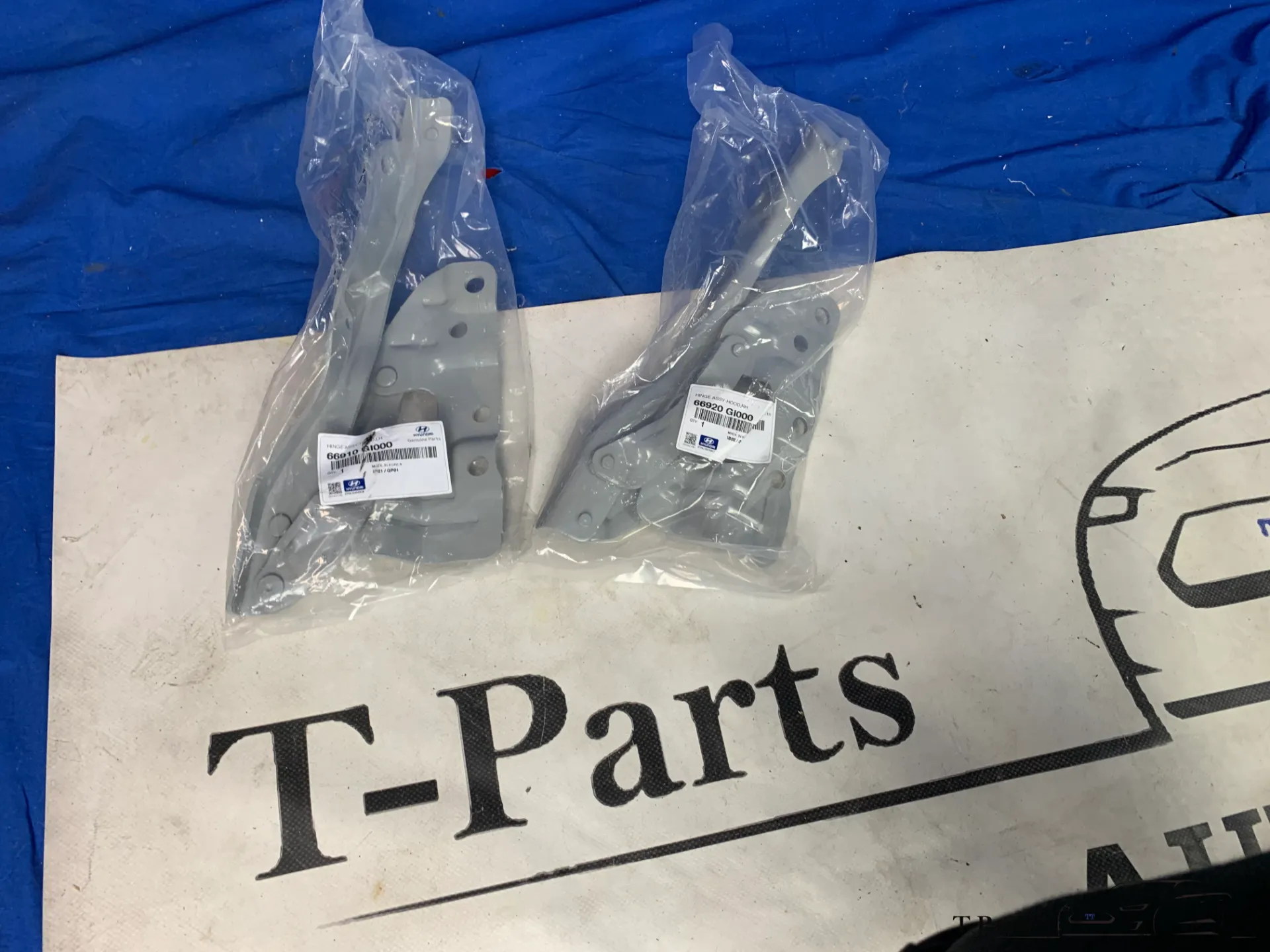 charnières de capot hyundai ioniq 5 66910GI000 66920GI000