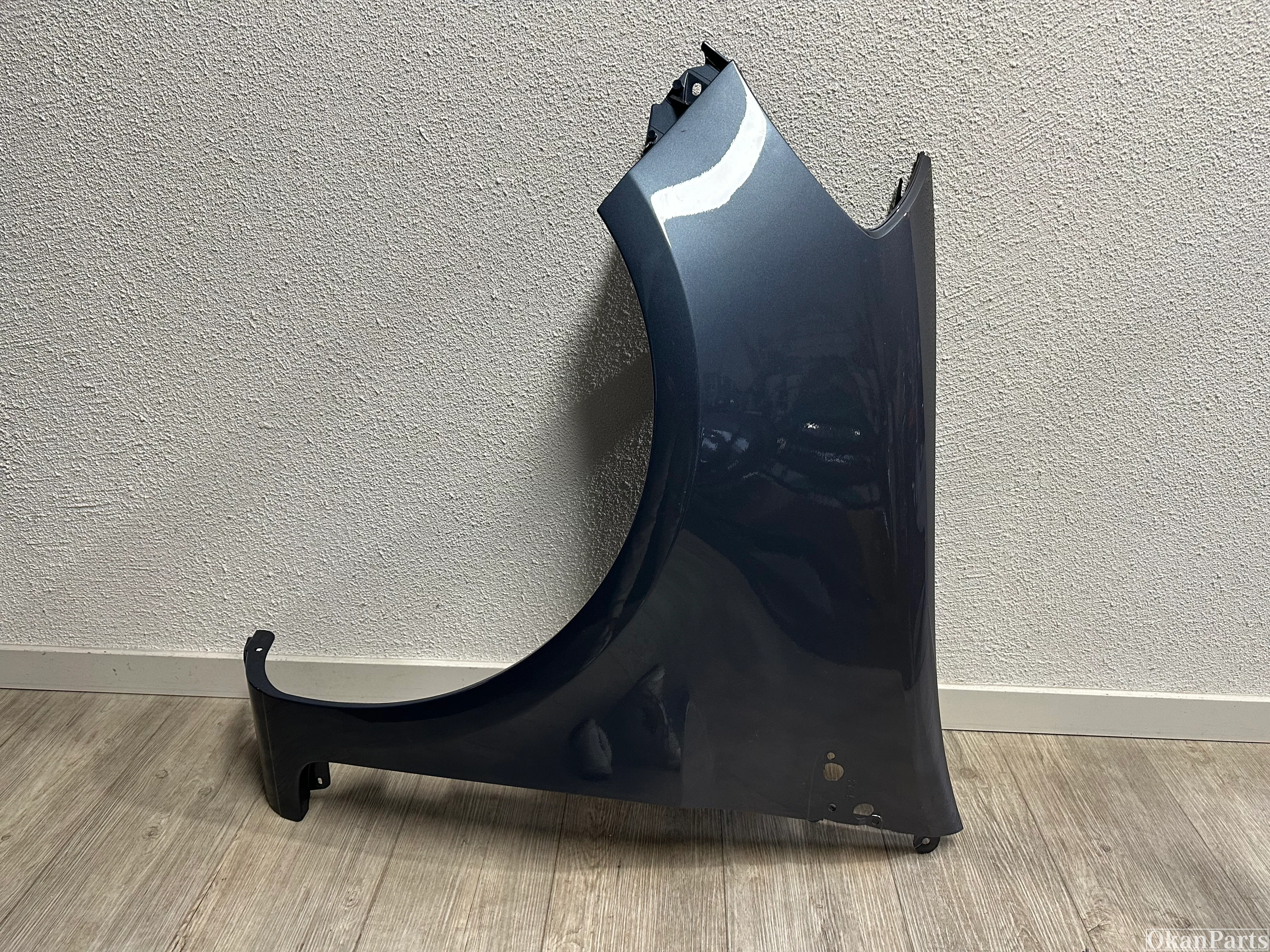 Renault Clio III linker zijscherm links 8200256117