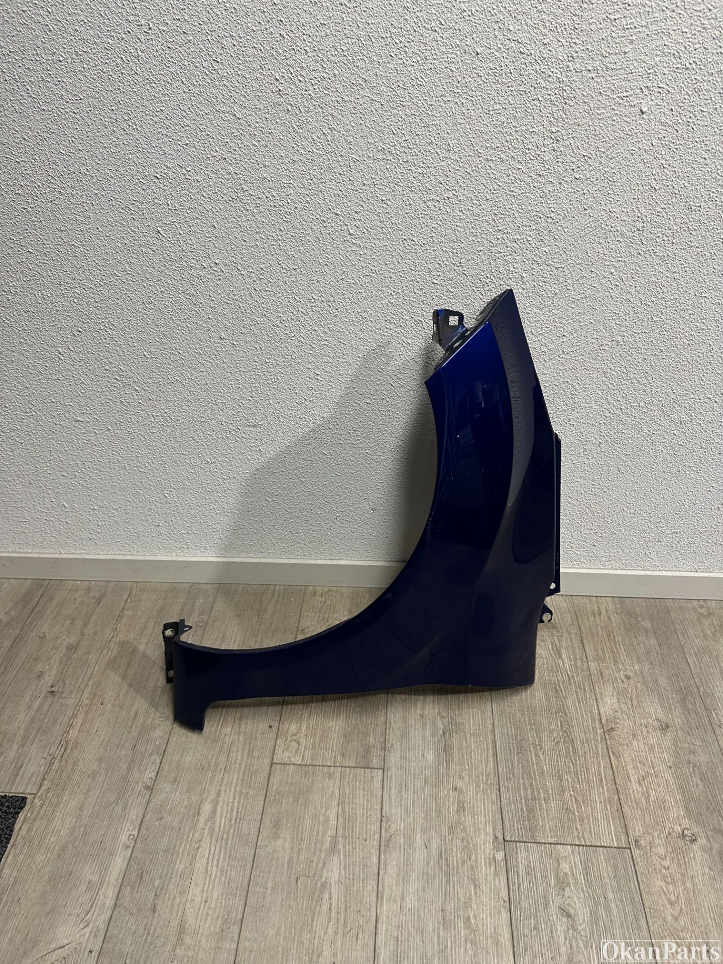 Ford Fiesta VI linker zijscherm links