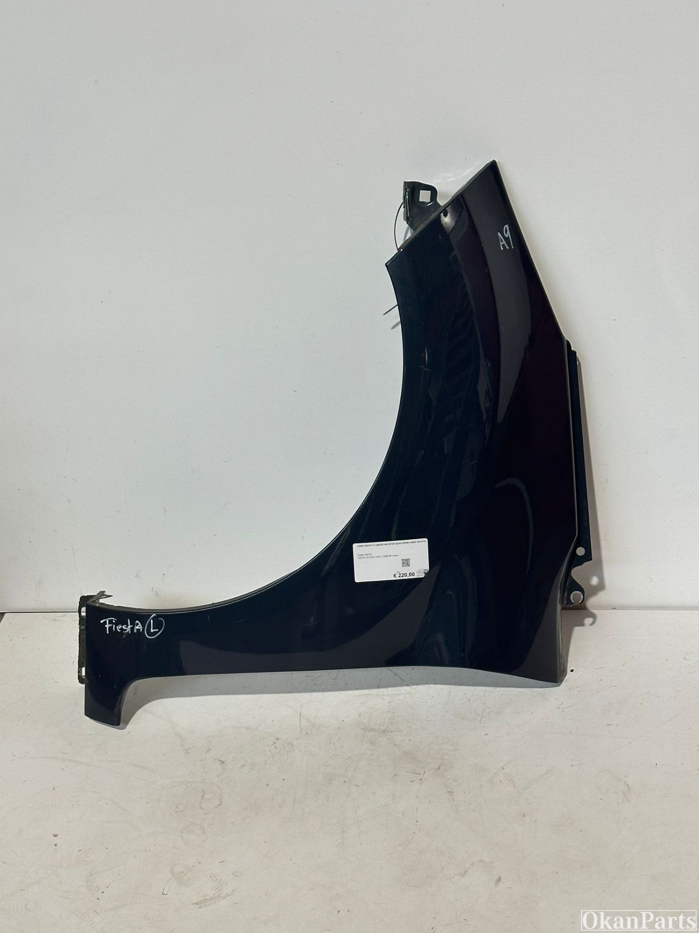 Ford Fiesta VI linker zijscherm links
