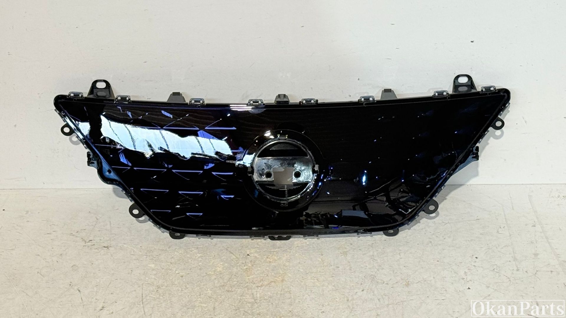 Nissan Leaf Grille 62072-5SK0D