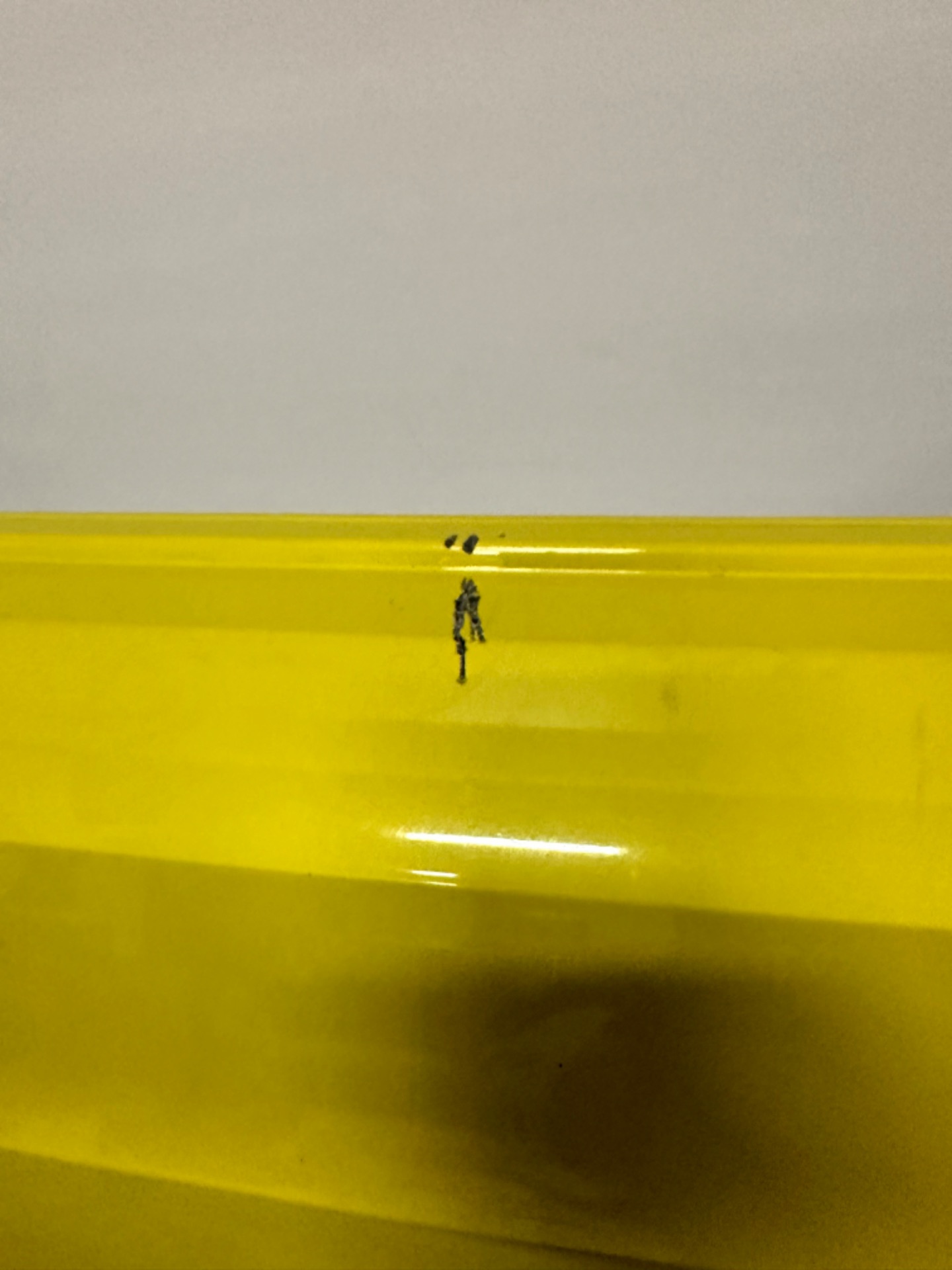 IMG_6881.j_1704148344822.jpeg