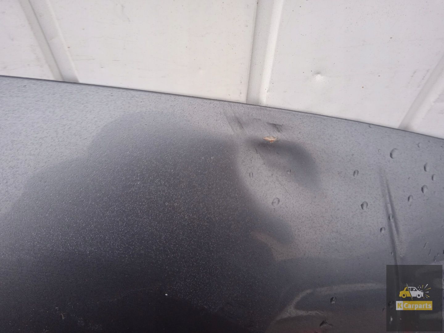1_695a3432d8cb39ac99e19348.jpeg