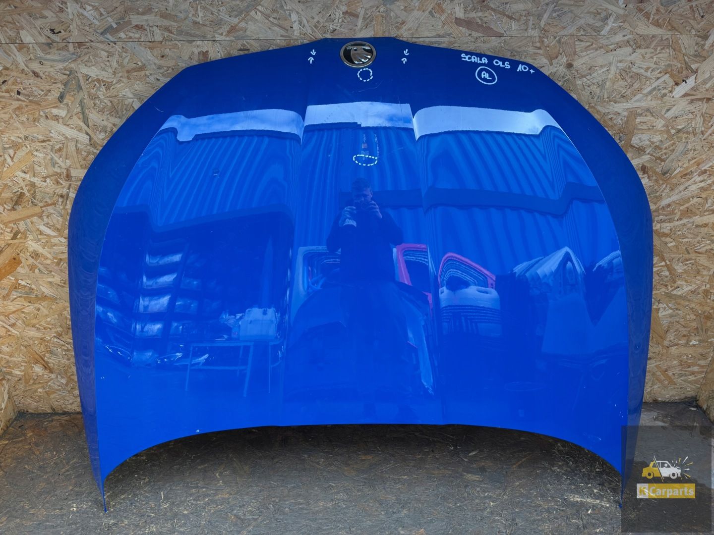 Skoda Scala Motorradhaube