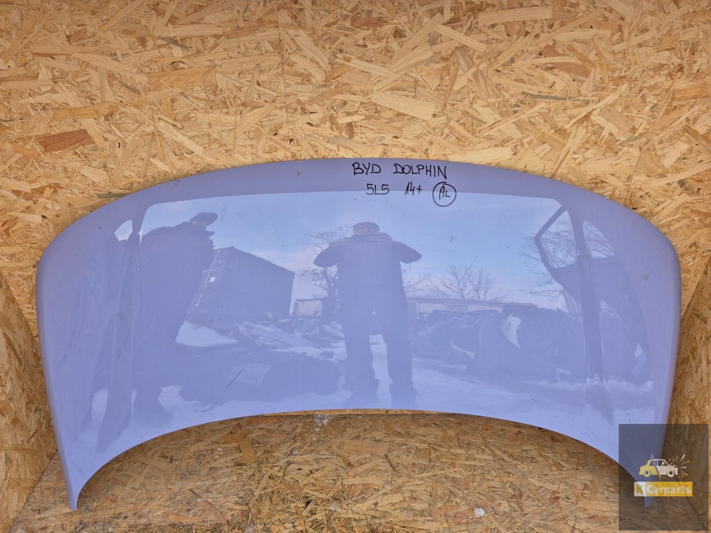 Byd dolfijn masker