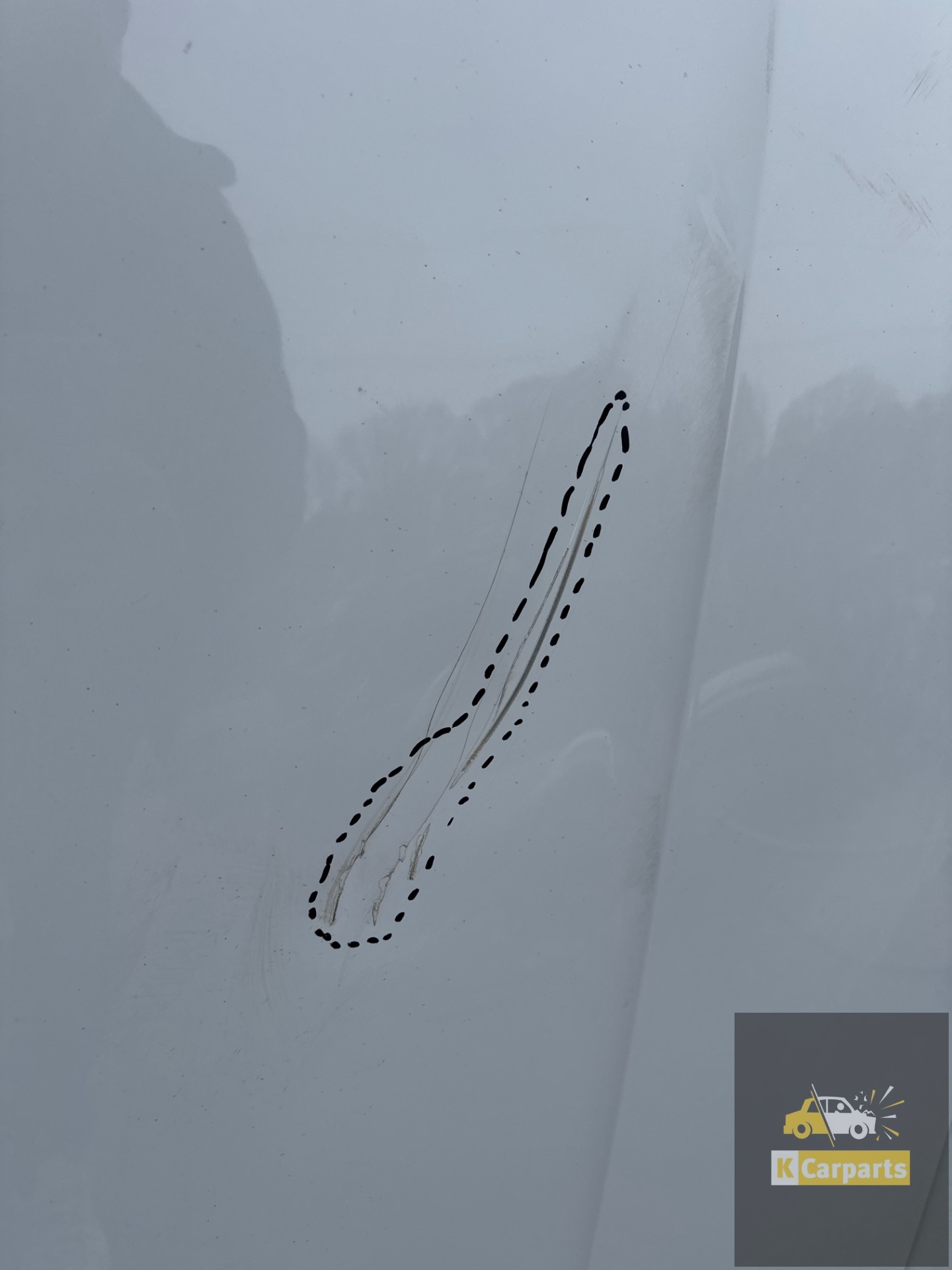 0_69dcc3e31c601a7b4441c484.jpeg