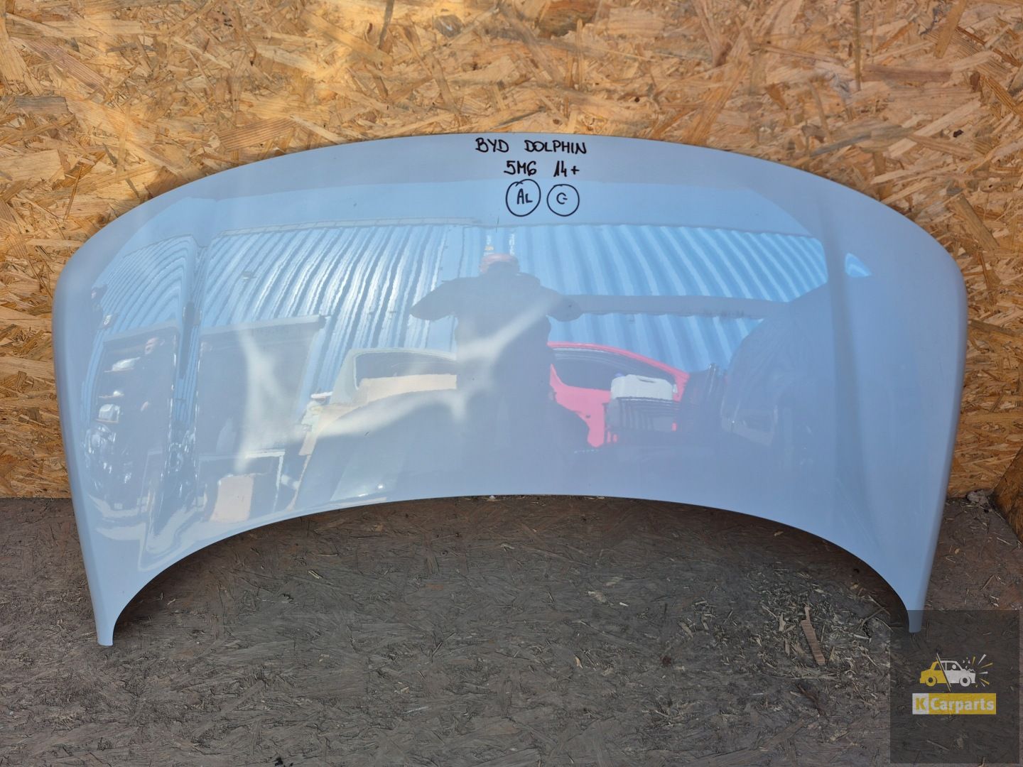 Byd dolfijn masker