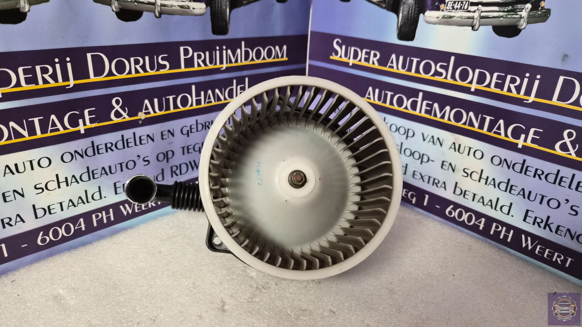 3_69a16f45a14442a87beb159e.jpeg