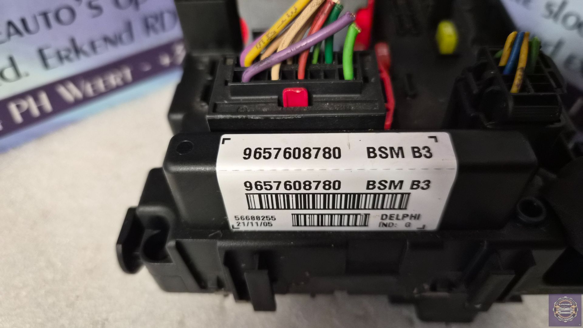 1_69b947461920a896331a5bf3.jpeg