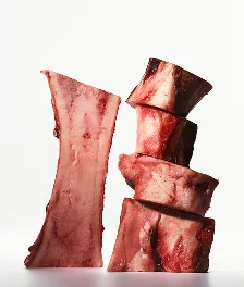 USDA Beef Bone