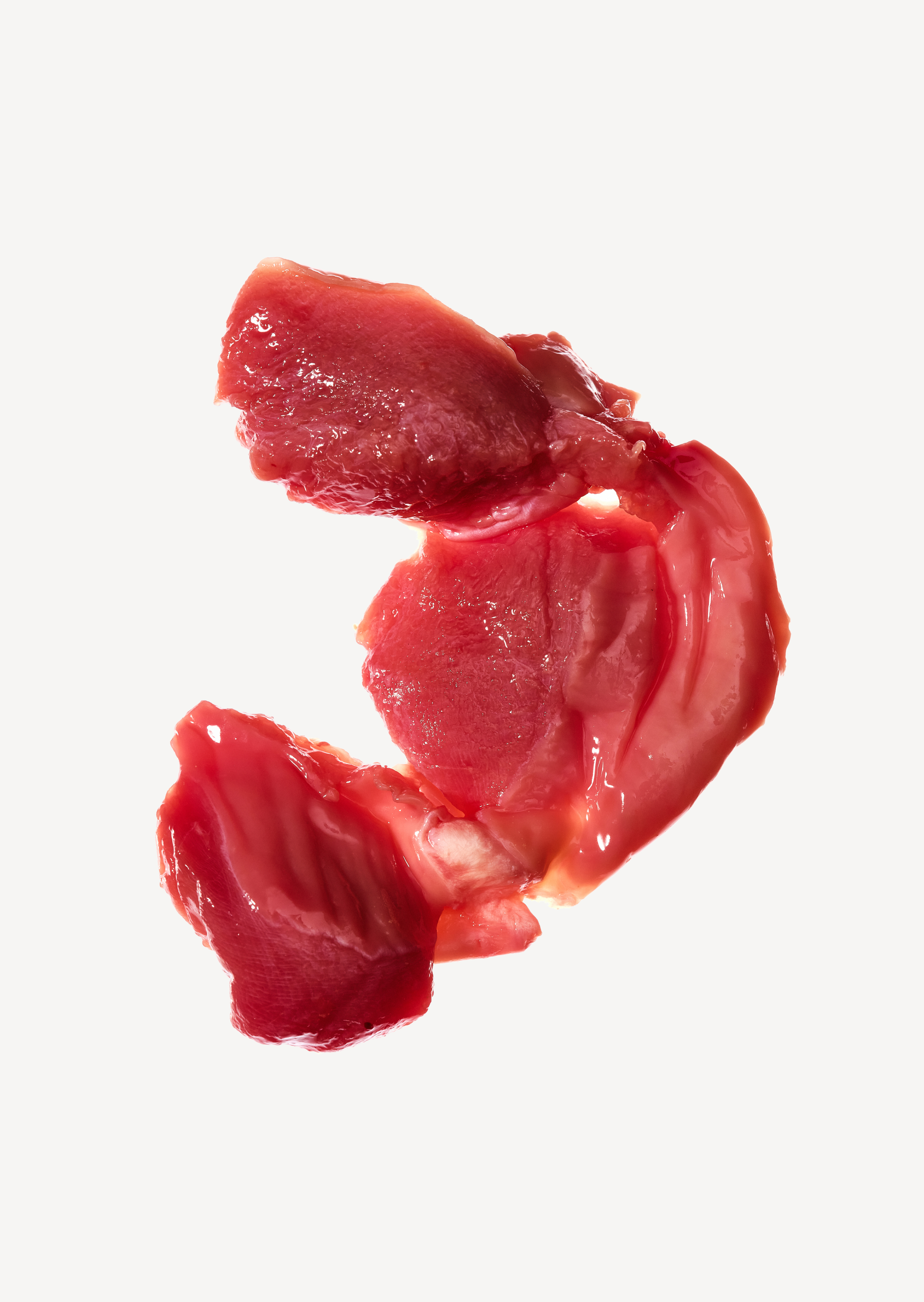 USDA Chicken Gizzard