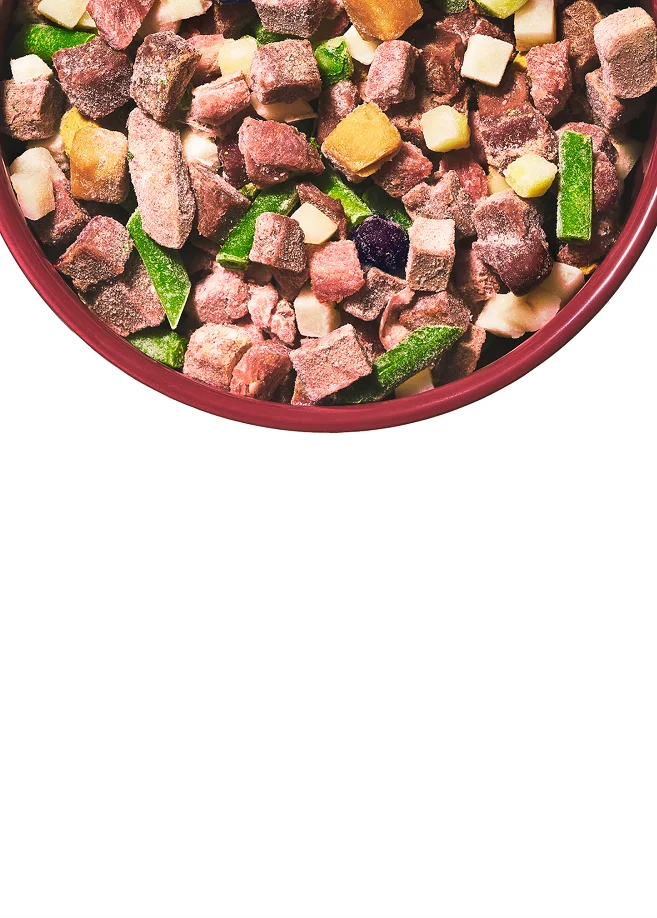 High Quality Raw Dog Food